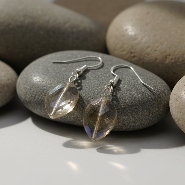 Pair of earrings with clear stones on a gray background