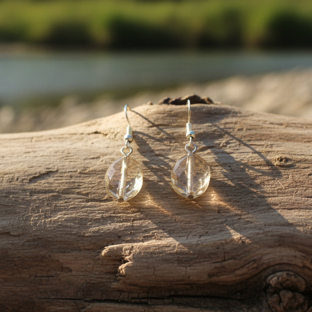 Pair of earrings with leaf-shaped stones on a gray background