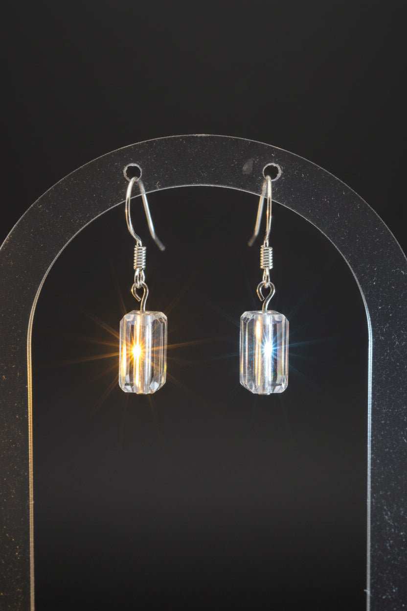 Crystal Frost Drop Earrings