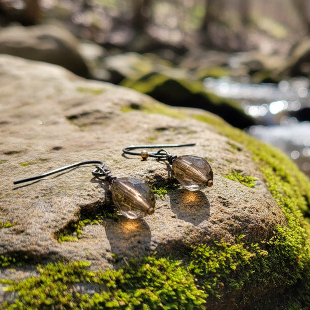 Pair of earrings with brown beads on black strings on a white background